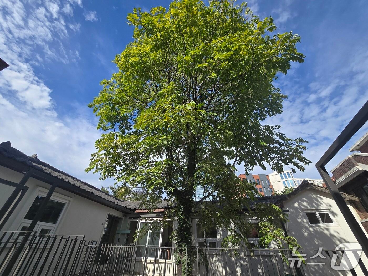 본문 이미지 - 아트 스페이스 '성수나무/Namu Seoul' 전경. ⓒ 뉴스1 김정한