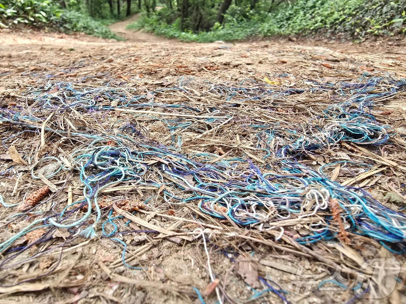 본문 이미지 - 광주 북구 삼각산 산책로 야자매트에서 발견된 미세플라스틱 섬유. &#40;광주환경운동연합 제공. 재판매 및 DB 금지&#41;  