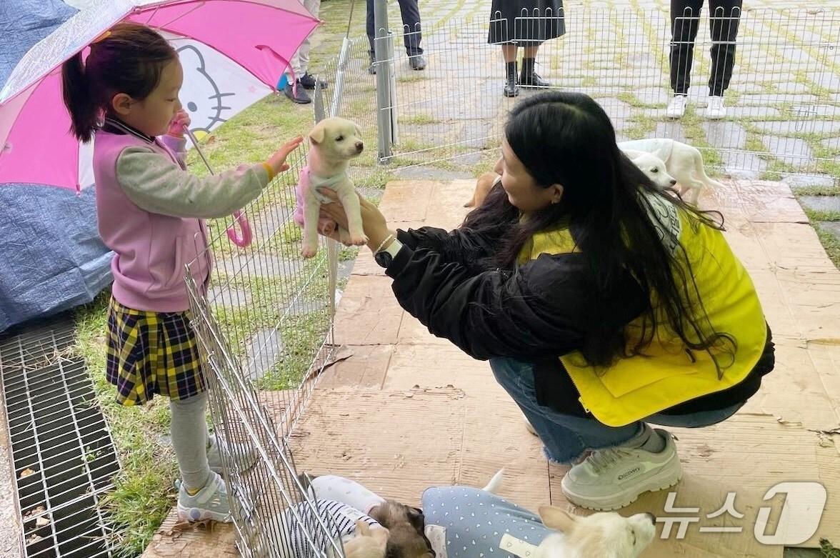 본문 이미지 - 전북 정읍시가 펫보험 가입비를 지원한다.(정읍시 제공. 재판매 및 DB금지)/뉴스1 