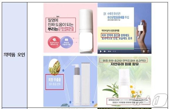 본문 이미지 - 주요 적발 사례(식품의약품안전처 제공)