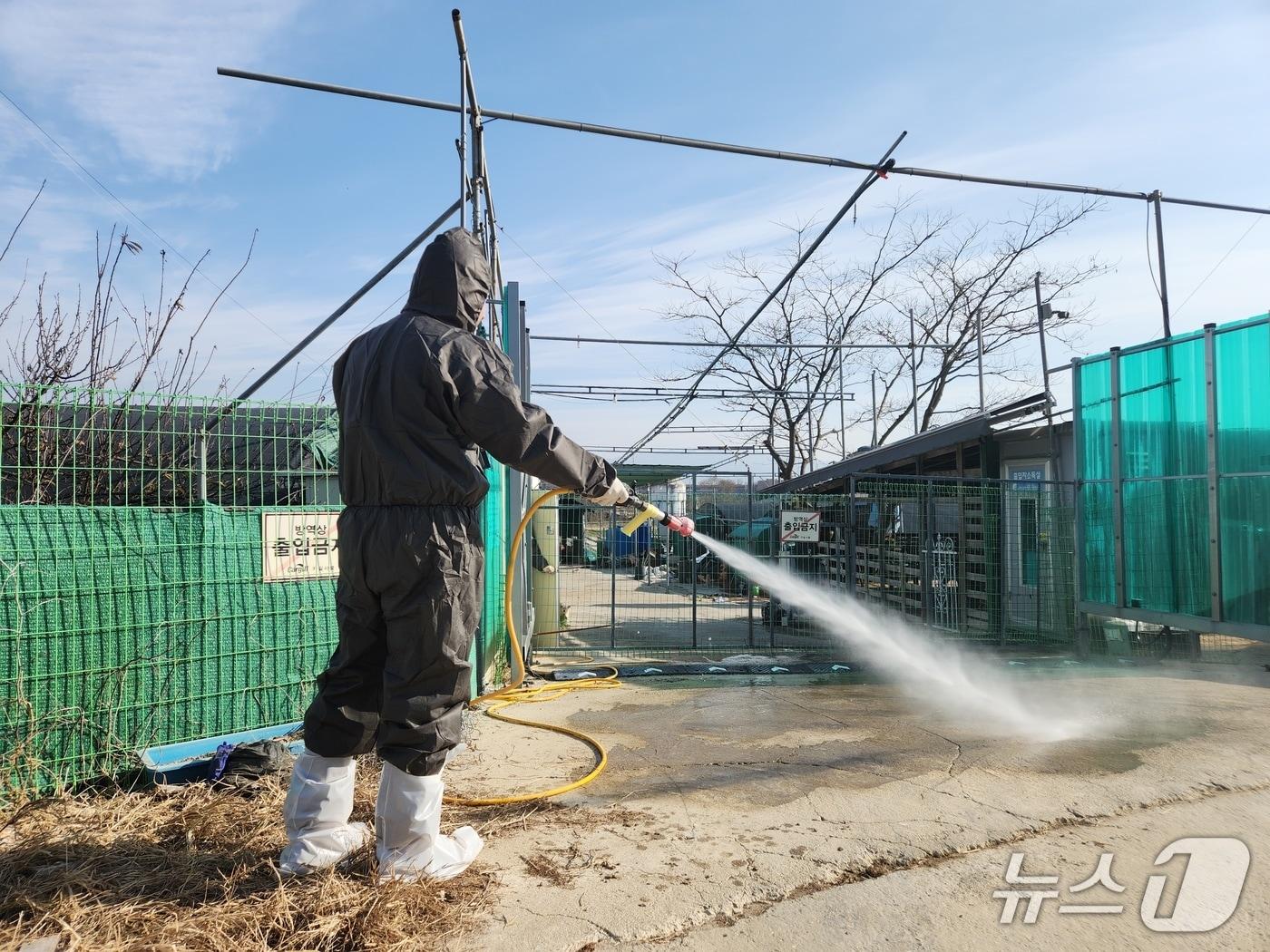 본문 이미지 - 경남도 방역 관계자가 사육농장 입구를 소독하고 있다.&#40;경남도 제공. 재판매 및 DB금지&#41;