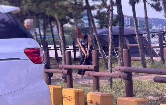 본문 이미지 - &#40;보배드림&#41;