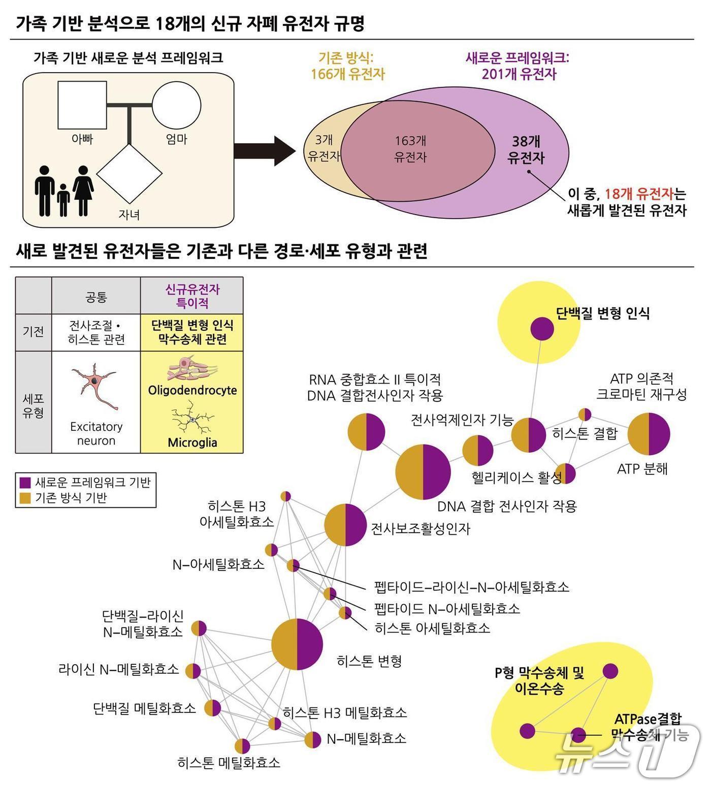 본문 이미지 - 안준용 고려대 바이오시스템의과학부 교수 연구팀은 자폐인의 특성을 정밀하게 분석할 수 있는 새로운 프레임워크를 개발했다고 24일 밝혔다.&#40;고려대 제공&#41;