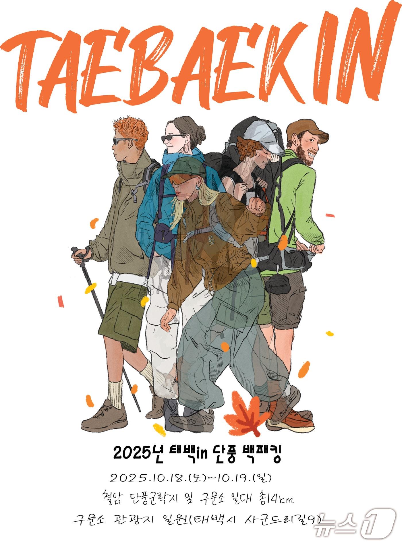 본문 이미지 - &#39;2025 태백 in 단풍 백패킹 페스티벌&#39; 포스터. &#40;태백시 제공. 재판매 및 DB금지&#41; 2025.9.24/뉴스1