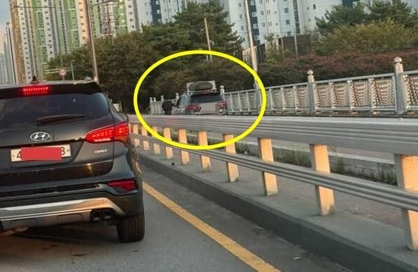 본문 이미지 - (보배드림)