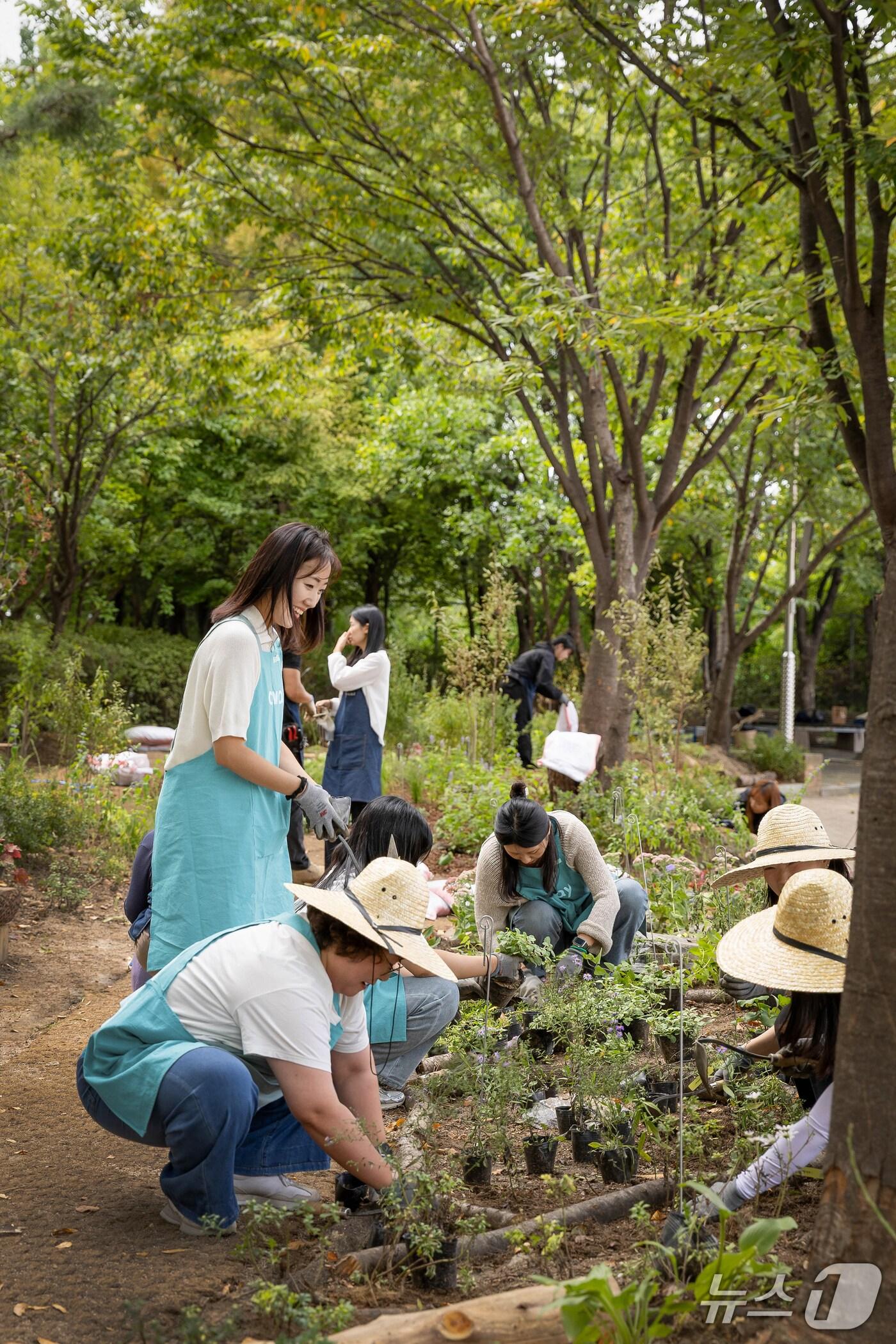 본문 이미지 - 코웨이 임직원이 방화초등학교에 멸종위기 식물들을 식재하고 있다.(코웨이 제공)