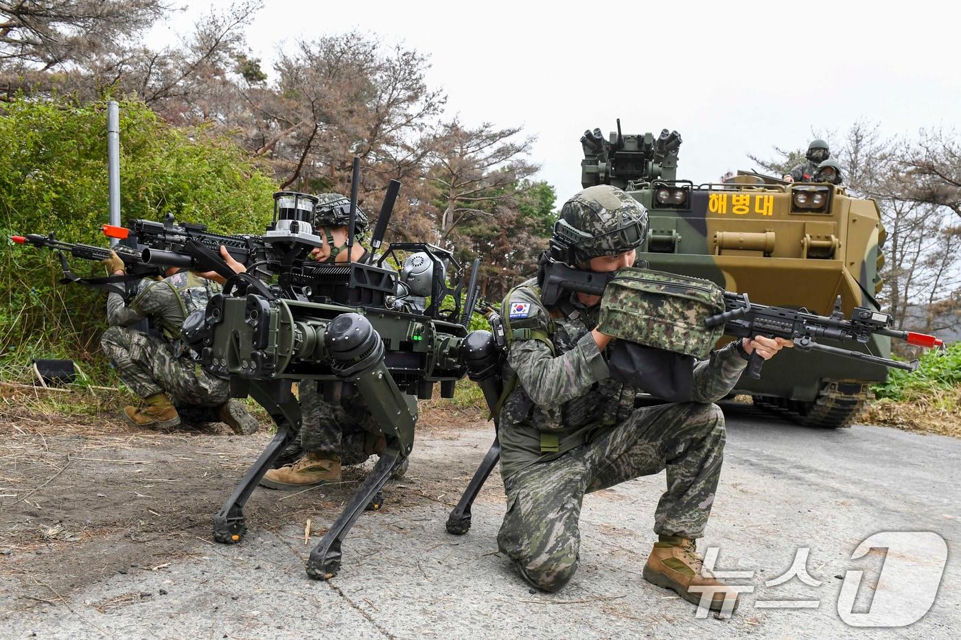 24일 해병대 전투실험대대가 경북 포항 정천리 훈련장에서 다족 보행로봇을 활용한 위험지역 작전 간 정찰임무를 수행하고 있다. &#40;해병대사단제공, 재판매 및 DB금지&#41; 2025.9.24/뉴스1 ⓒ News1 최창호 기자