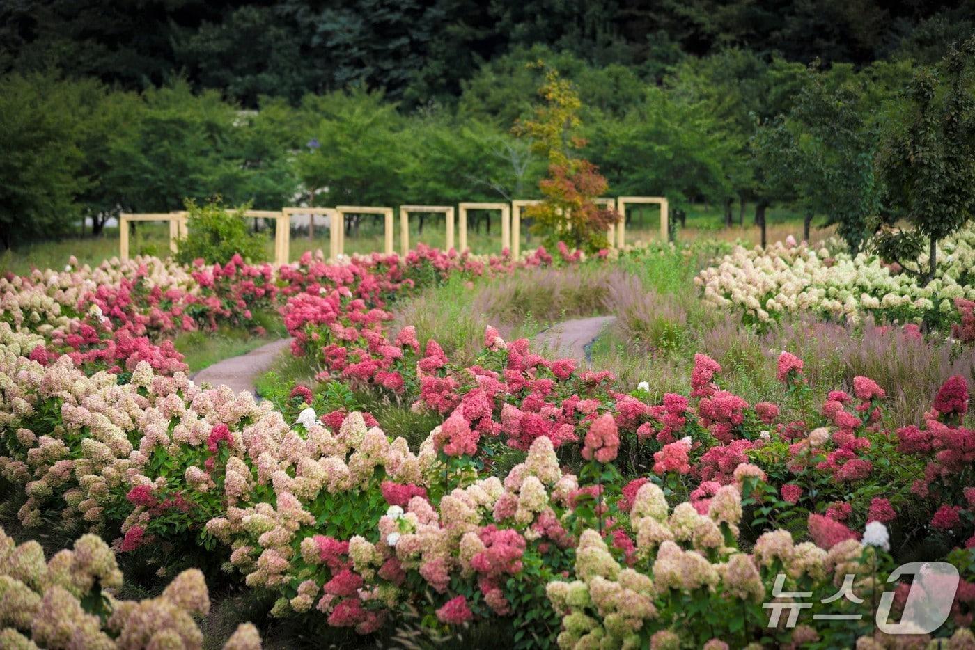  국립백두대간수목원&#40;한국수목원정원관리원 제공.재판매 및 DB 금지&#41; /뉴스1