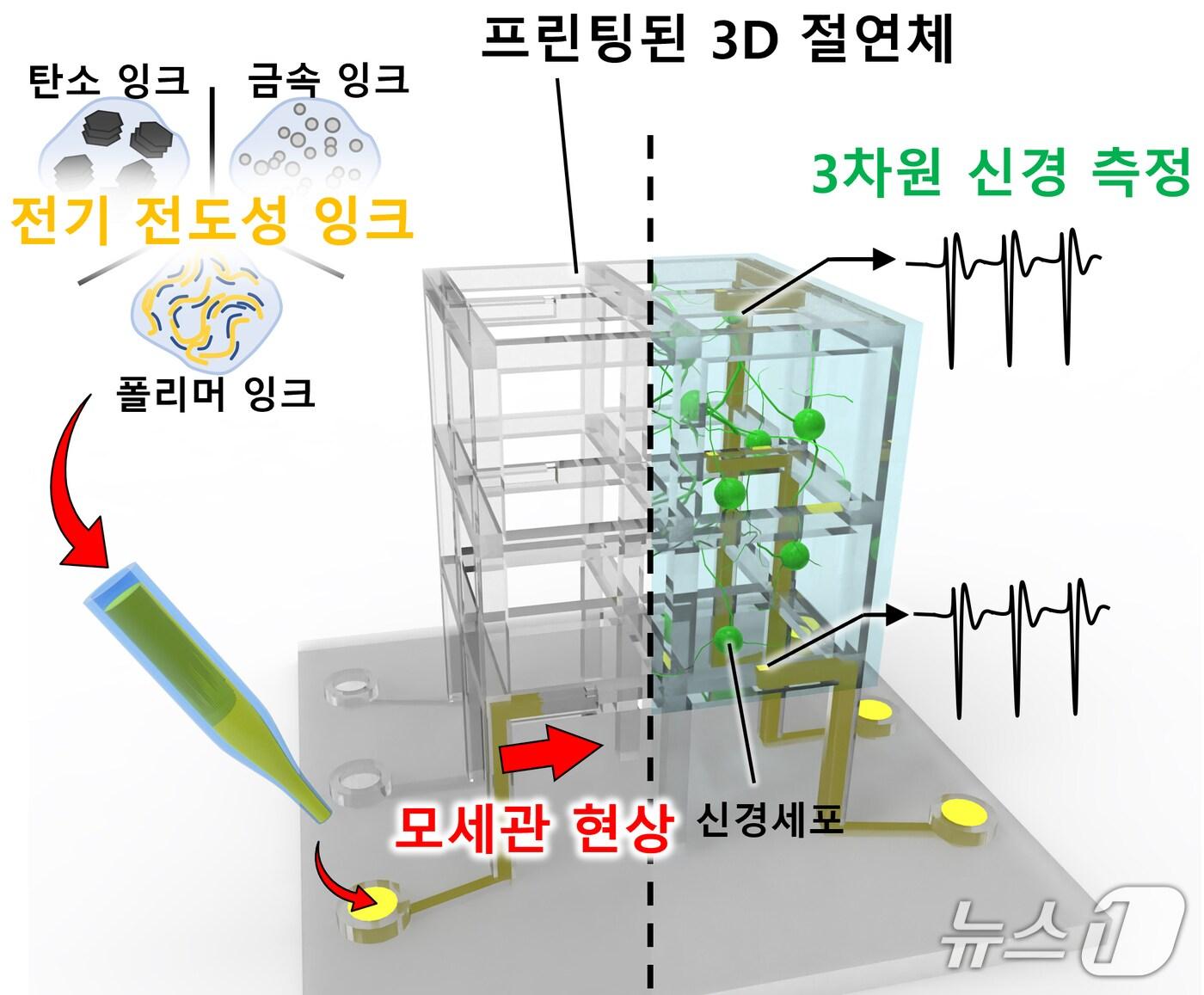 본문 이미지 - 맞춤형 세포배양 지지체-미세전극칩 일체형 플랫폼 개요도&#40;KAIST 제공&#41; /뉴스1