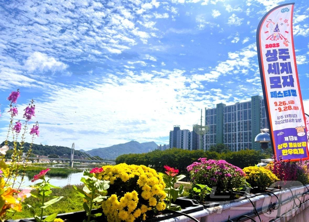 본문 이미지 - 상주시가 추석을 맞아 전통시장 주변의 불법 주·정차 단속을 한시적으로 유예한다.(상주시 제공. 재판매 및 DB금지) /뉴스1