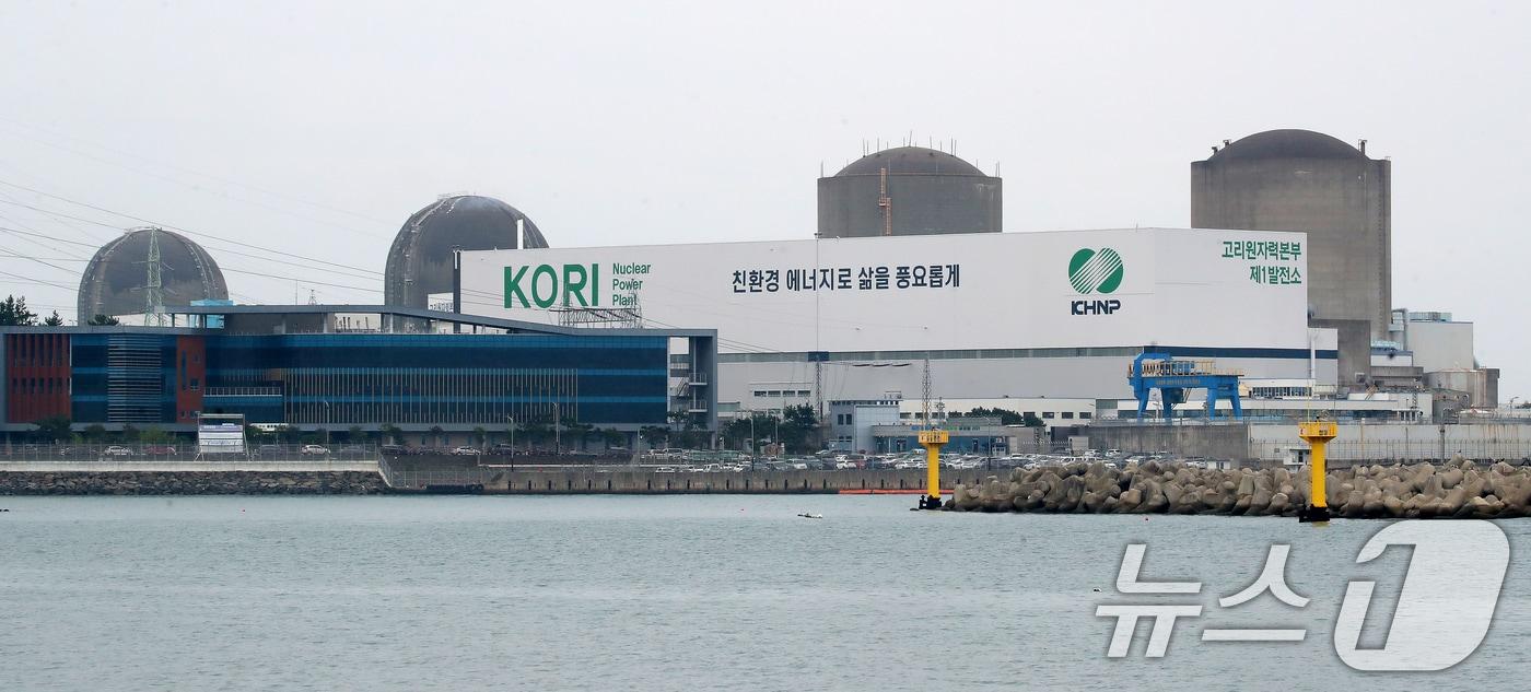 본문 이미지 - (사진은 기사 내용과 무관함) / 뉴스1 ⓒ News1