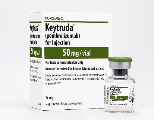 본문 이미지 - 글로벌 매출 1위 의약품 면역관문억제제 &#39;키트루다IV&#39;&#40;성분명 펨브롤리주맙&#41;&#39;./뉴스1
