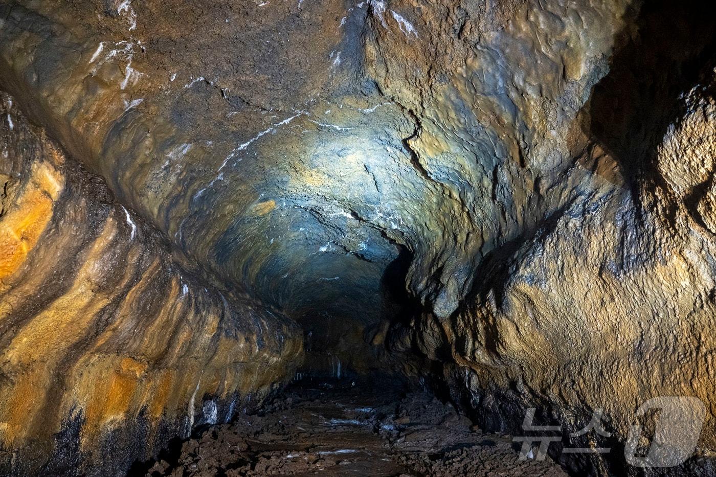 25일 제주시 구좌읍 월정리에 있는 천연기념물 용천동굴이 국가유산 방문의 해를 맞아 언론에 특별공개되고 있다. 2025.9.25/뉴스1 ⓒ News1 오미란 기자