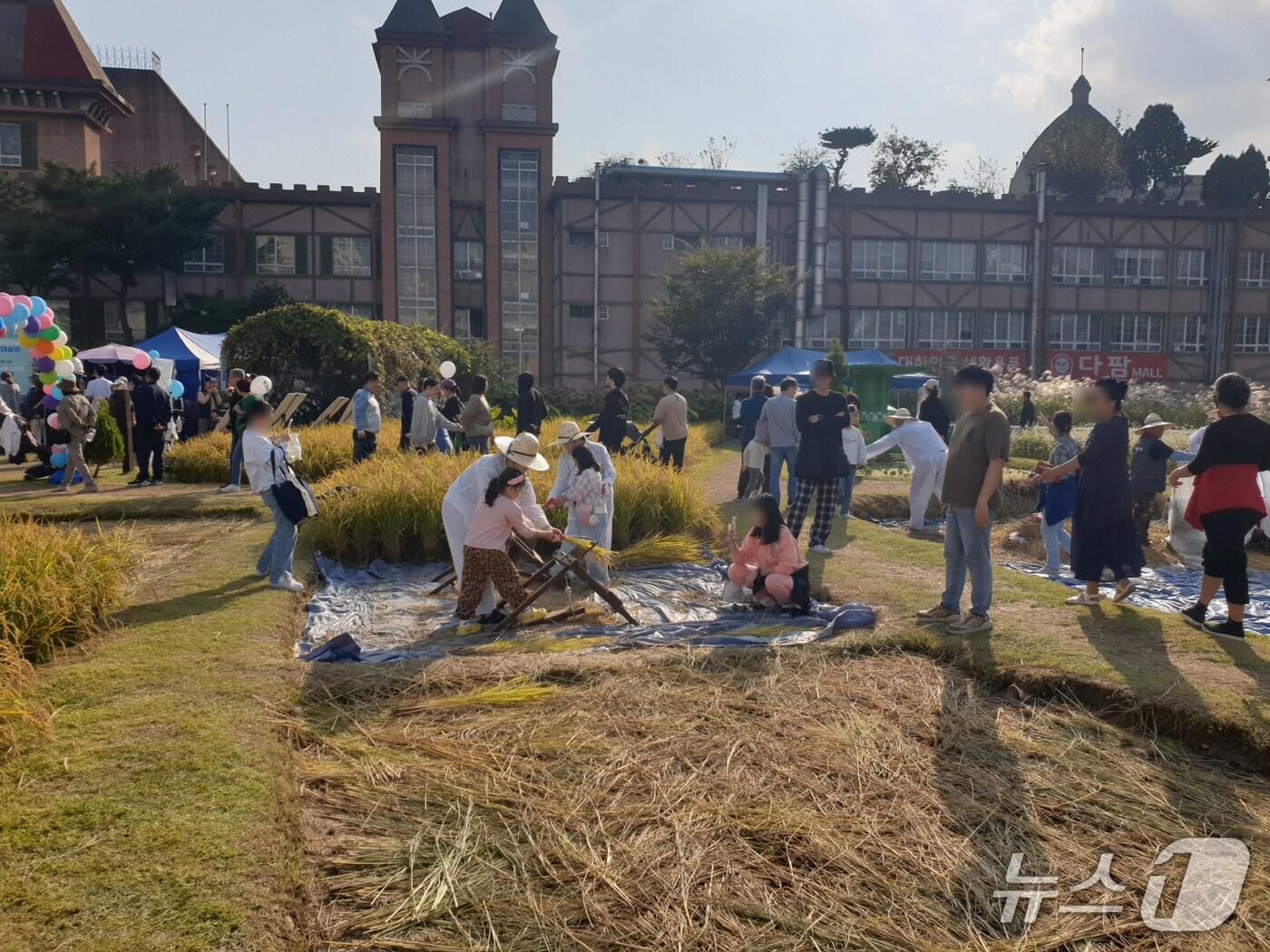 본문 이미지 - 지난해 도시농부 가을걷이 체험행사.(시흥시 제공)