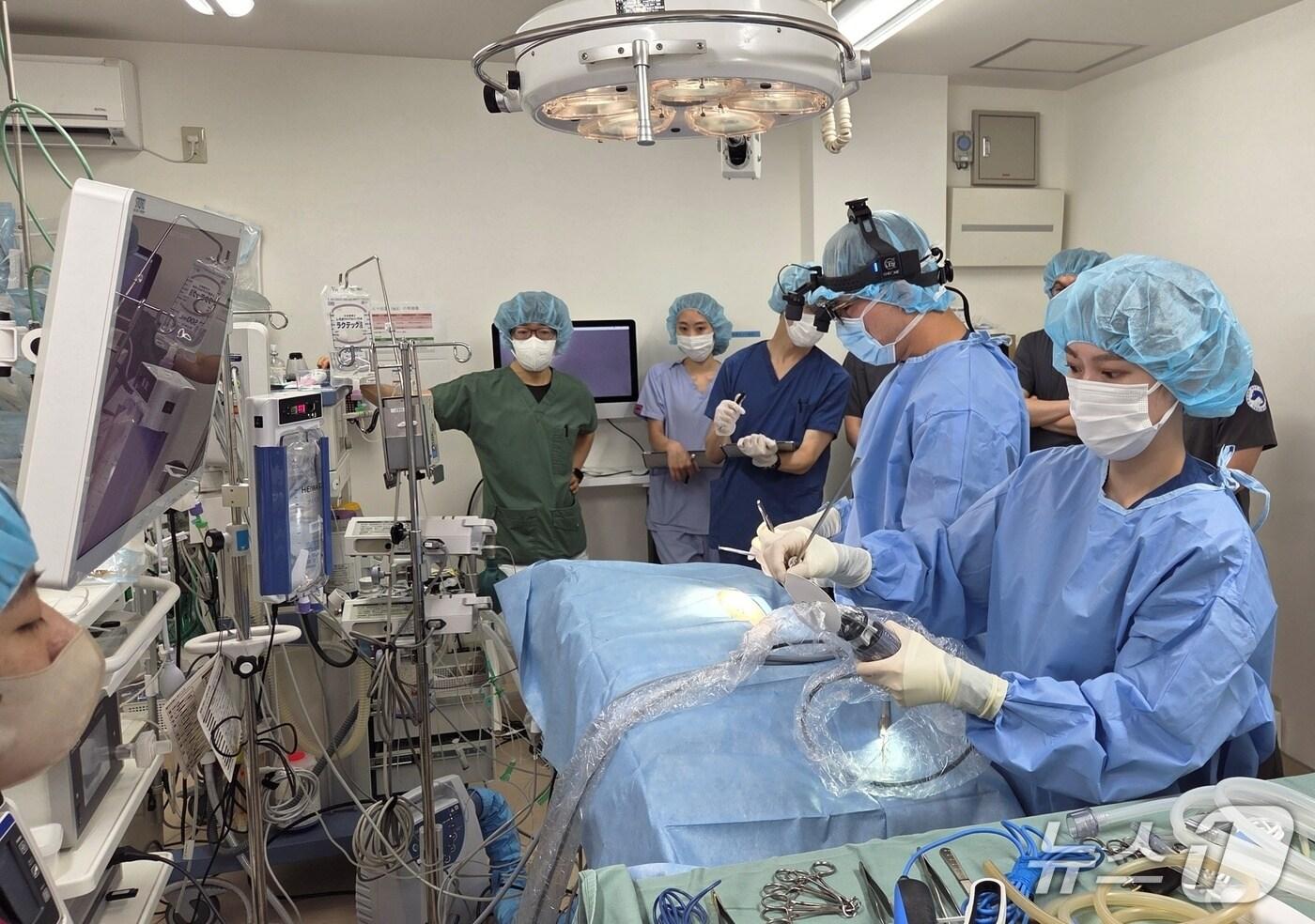 인천·천안 SKY동물메디컬센터 소속 외과 의료진이 최근 일본 도쿄 지유가오카 동물의료센터를 방문해 흉강경 및 복강경을 활용한 고난도 최소침습수술을 참관했다&#40;병원 제공&#41;. ⓒ 뉴스1