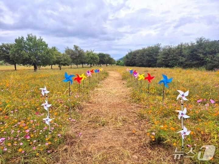 본문 이미지 - 여주 대신섬 바람개비&#40;여주시 제공. 재판매 및 DB 금지&#41;/뉴스1