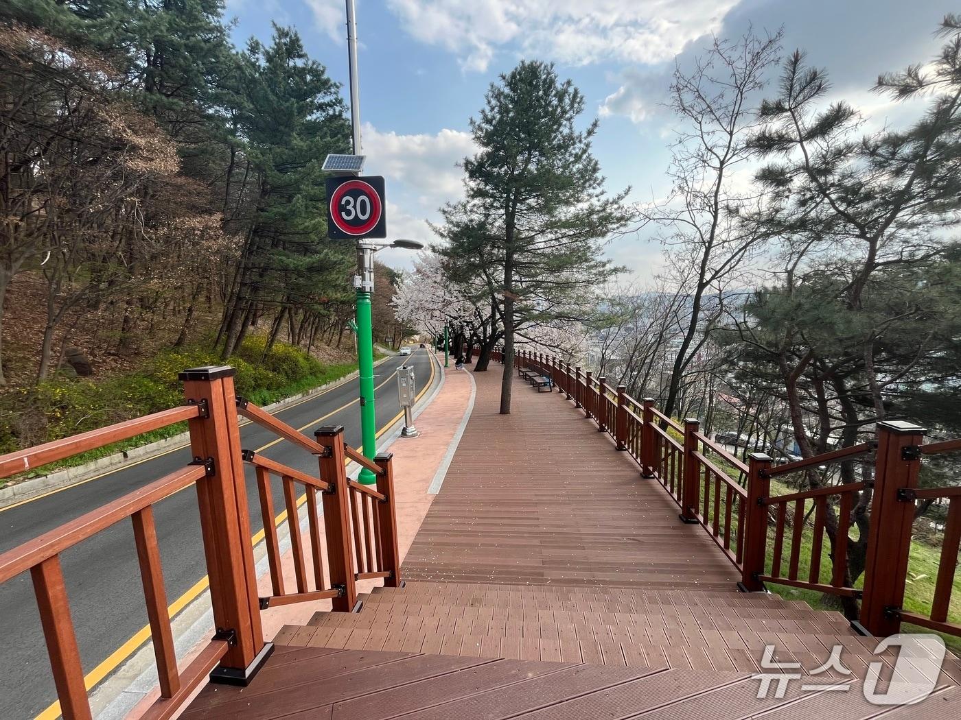 본문 이미지 - 청주시 우암산 둘레길.&#40;시 제공&#41;/뉴스1