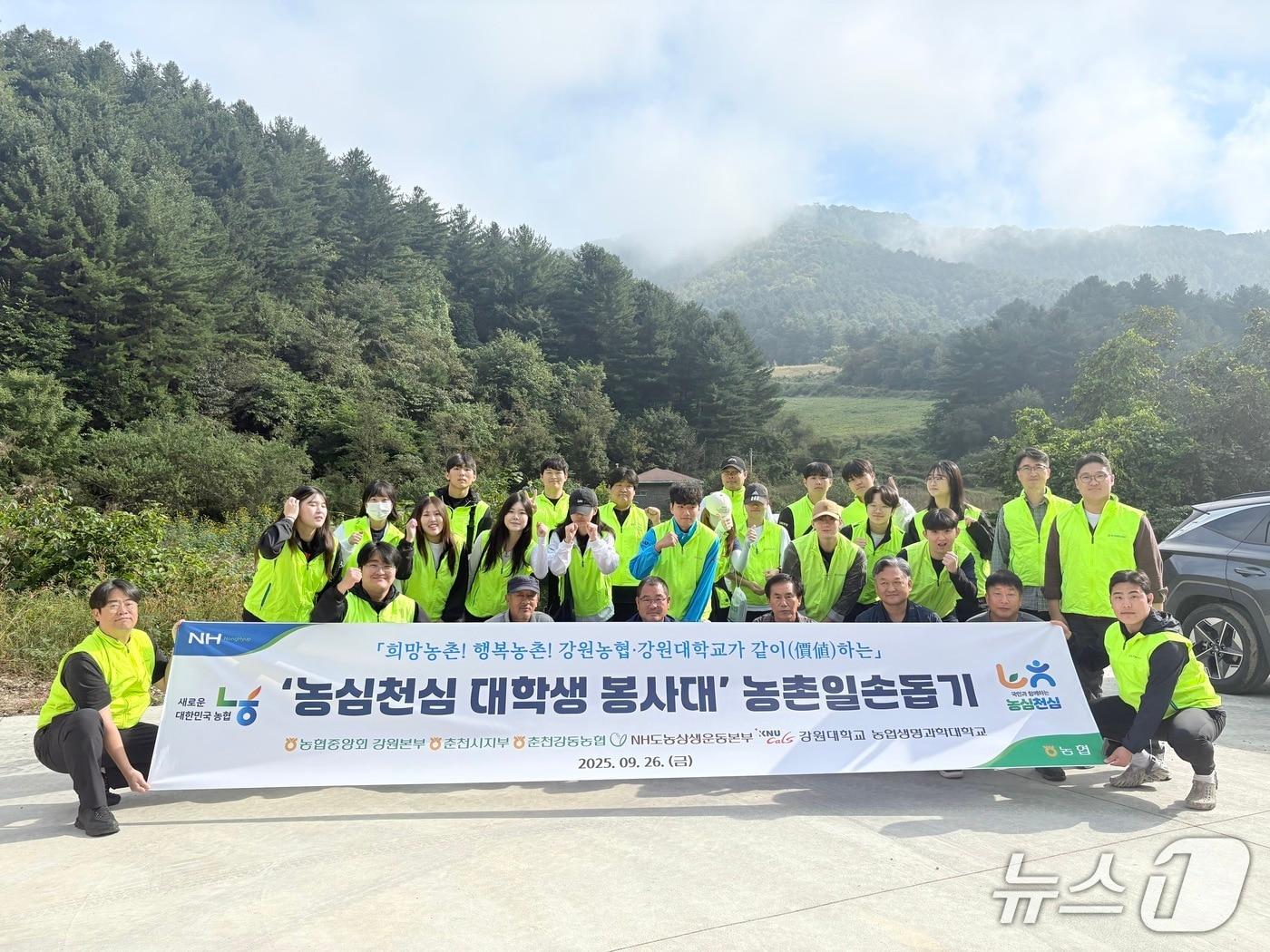 본문 이미지 - 농촌 일손 돕기.&#40;농협 강원본부 제공. 재판매 및 DB금지&#41;/뉴스1