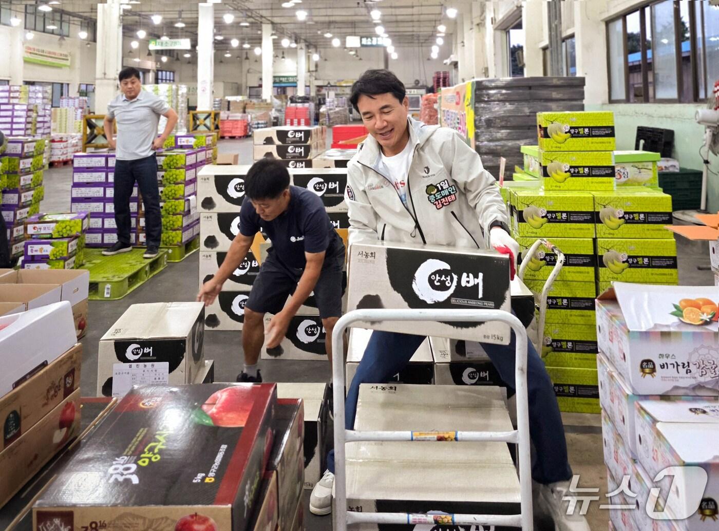 본문 이미지 - &#39;9월 도민 속으로&#39; 춘천 농수산물 도매시장 출하작업&#40;강원도 제공. 재판매 및 DB금지&#41;/뉴스1