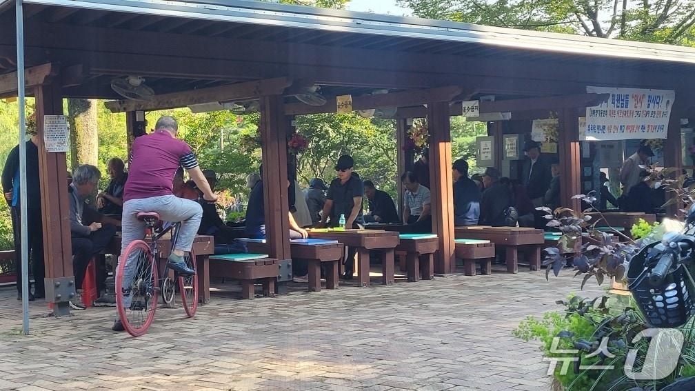 본문 이미지 - 26일 서울 동작구 보라매공원에 위치한 &#39;장기원&#39;에서 노인들이 장기를 두며 이야기를 나누고 있다.