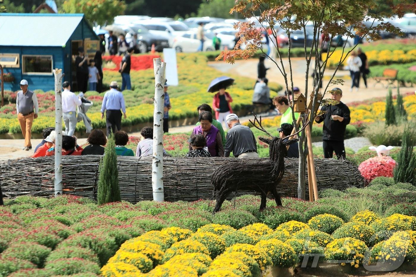 가을의 정취를 담은 &#39;2025 인제 가을꽃 축제&#39;가 지난 27일 개막했다. 올해로 7회째를 맞는 &#39;가을꽃 축제&#39;는 10월 19일까지 23일간 인제군 북면 용대 관광지 일원에서 열린다.&#40;인제군 제공. 재판매 및 DB금지&#41;/ 2025.9.27/뉴스1 ⓒ News1 이종재 기자