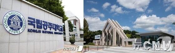 본문 이미지 -  공주대학교·충남대학교 전경. / 뉴스1