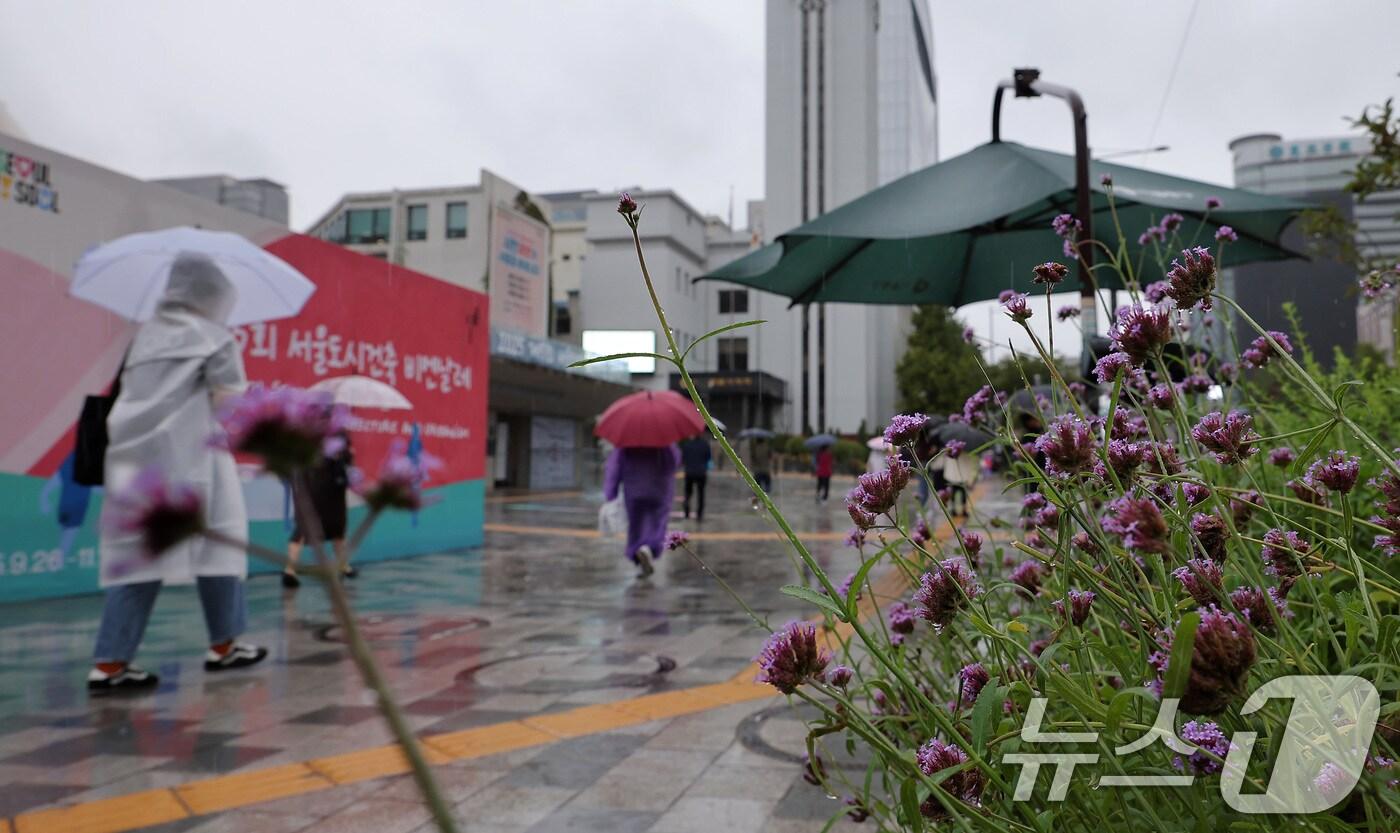 본문 이미지 - 전국적으로 비가 내린 28일 서울 중구 서울시의회 앞에서 시민들이 우산을 쓴 채 발걸음을 옮기고 있다. 2025.9.28/뉴스1 ⓒ News1 김성진 기자