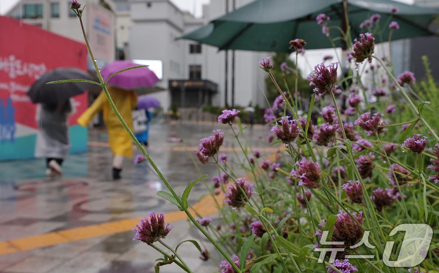 전국적으로 비가 내린 28일 서울 중구 덕수궁 서울시의회 앞에서 시민들이 우산을 쓴 채 발걸음을 옮기고 있다. 2025.9.28/뉴스1 ⓒ News1 김성진 기자