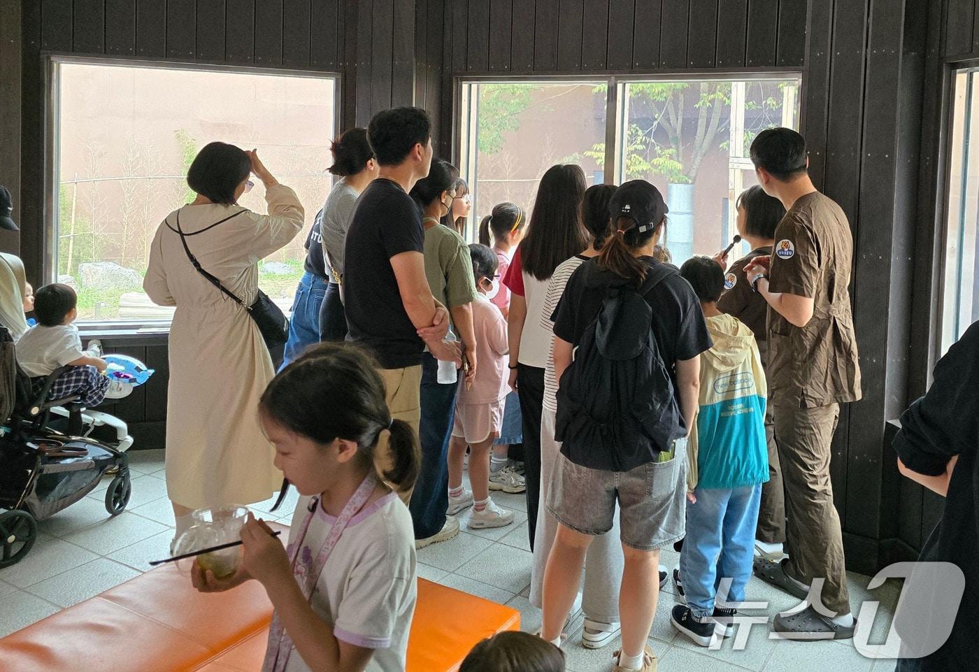 광주 우치동물원 &#39;동물과 함께하는 특별한 치유 프로그램&#39;.&#40;광주시 제공. 재판매 및 DB 금지&#41; ⓒ News1 박준배 기자