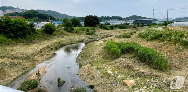 본문 이미지 - 양주시 청담천. (경기도 제공, 재판매 및 DB금지)