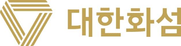 본문 이미지 - 대한화섬 CI(대한화섬 제공). ⓒ News1 박주평 기자
