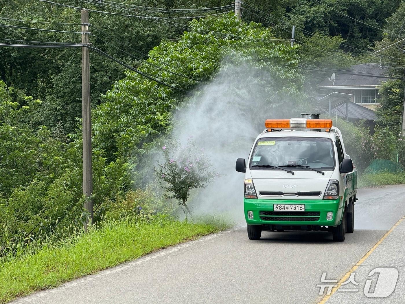 본문 이미지 - 특별 방역에 나선 춘천시.&#40;춘천시 제공, 재판매 및 DB금지&#41;