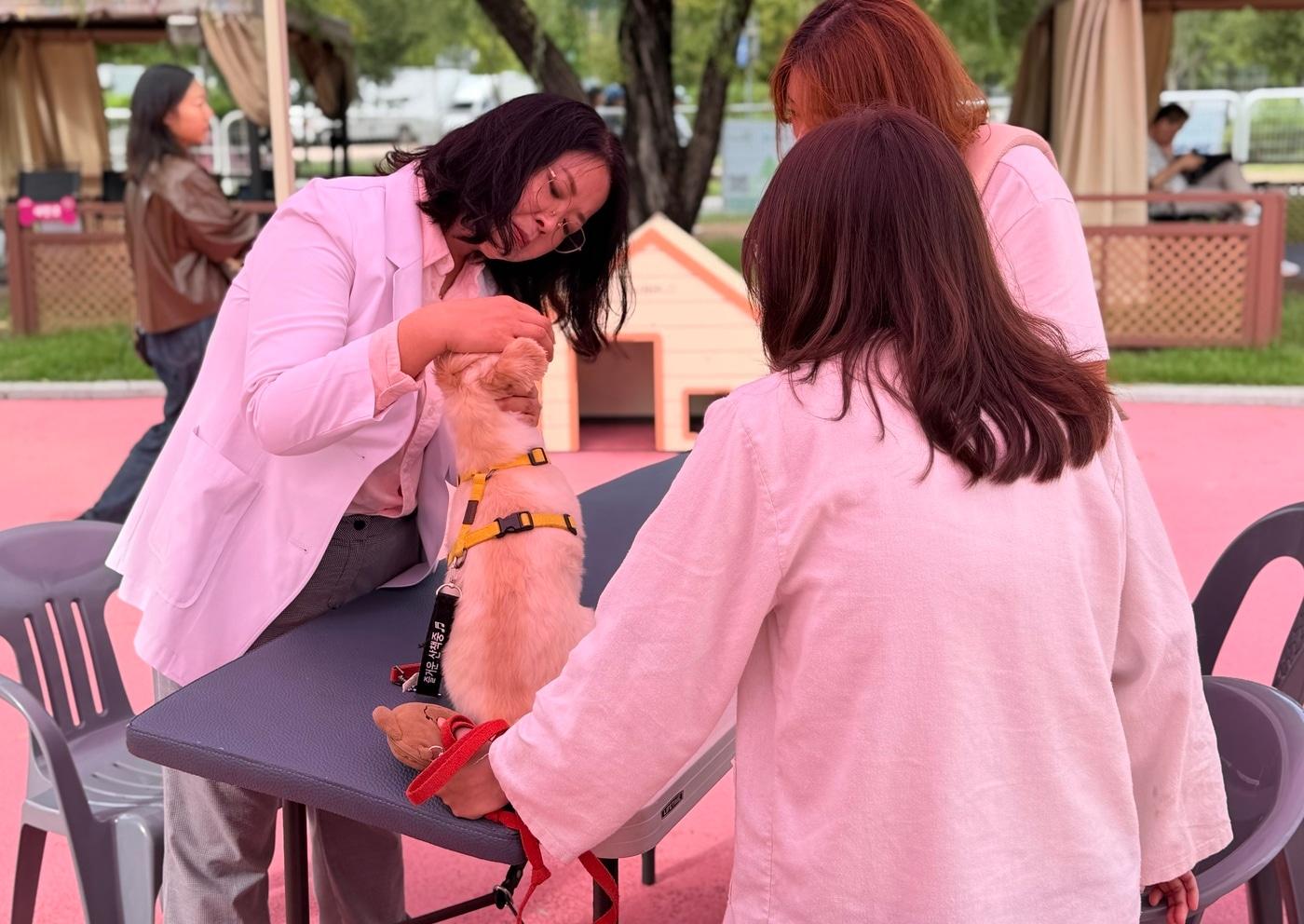 이봉희 서울시수의사회 동물복지이사&#40;맨 왼쪽&#41;가 지난 28일 마포구 &#39;댕댕이 한복패션쇼&#39; 행사에서 건강 상담을 하고 있다&#40;서울시수의사회 제공&#41;. ⓒ 뉴스1