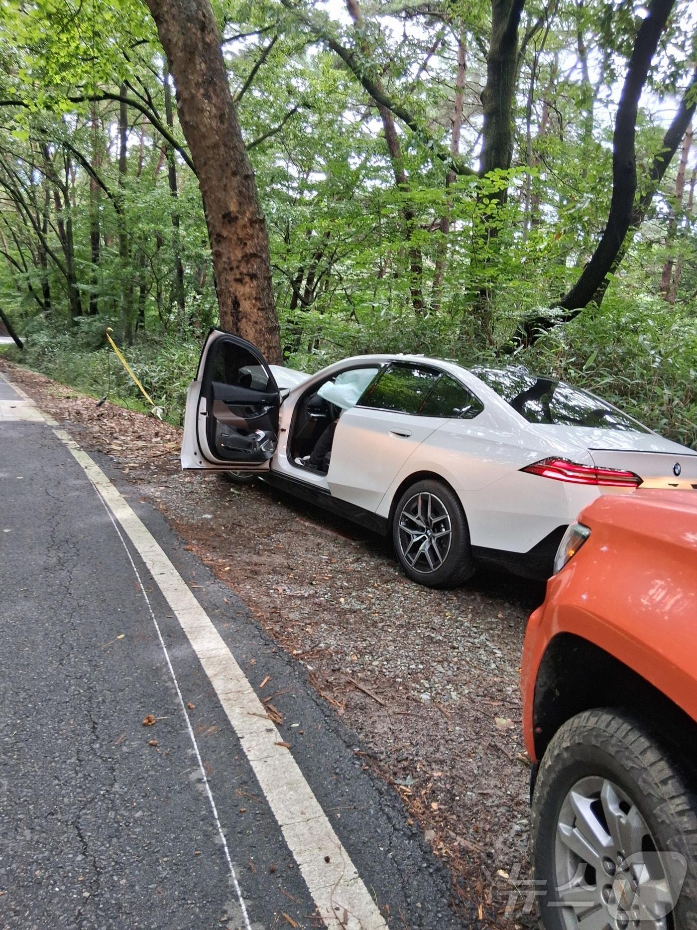 본문 이미지 - 3일 오후 1시 6분쯤 광주 무등산 인근 도로에서 음주 운전 차량이 가로수를 들이받고 멈춰서 있다.(광주 북부소방서 제공. 재판매 및 DB 금지)