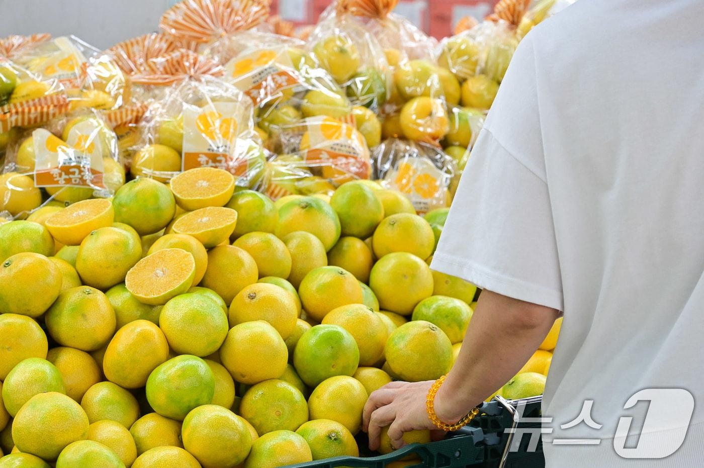 (사진은 기사 내용과 무관함) / 뉴스1 ⓒ News1