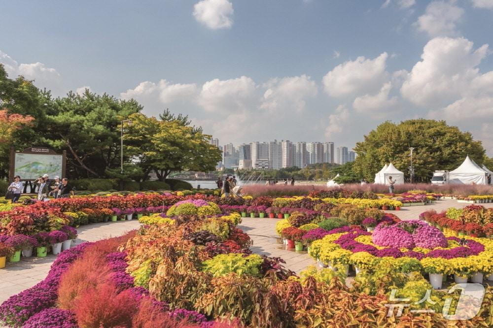 본문 이미지 - 지난해 '고양가을꽃축제'가 열린 일산호수공원 야외 행사장 모습. (사진제공=고양소식, 재판매 및 DB금지)
