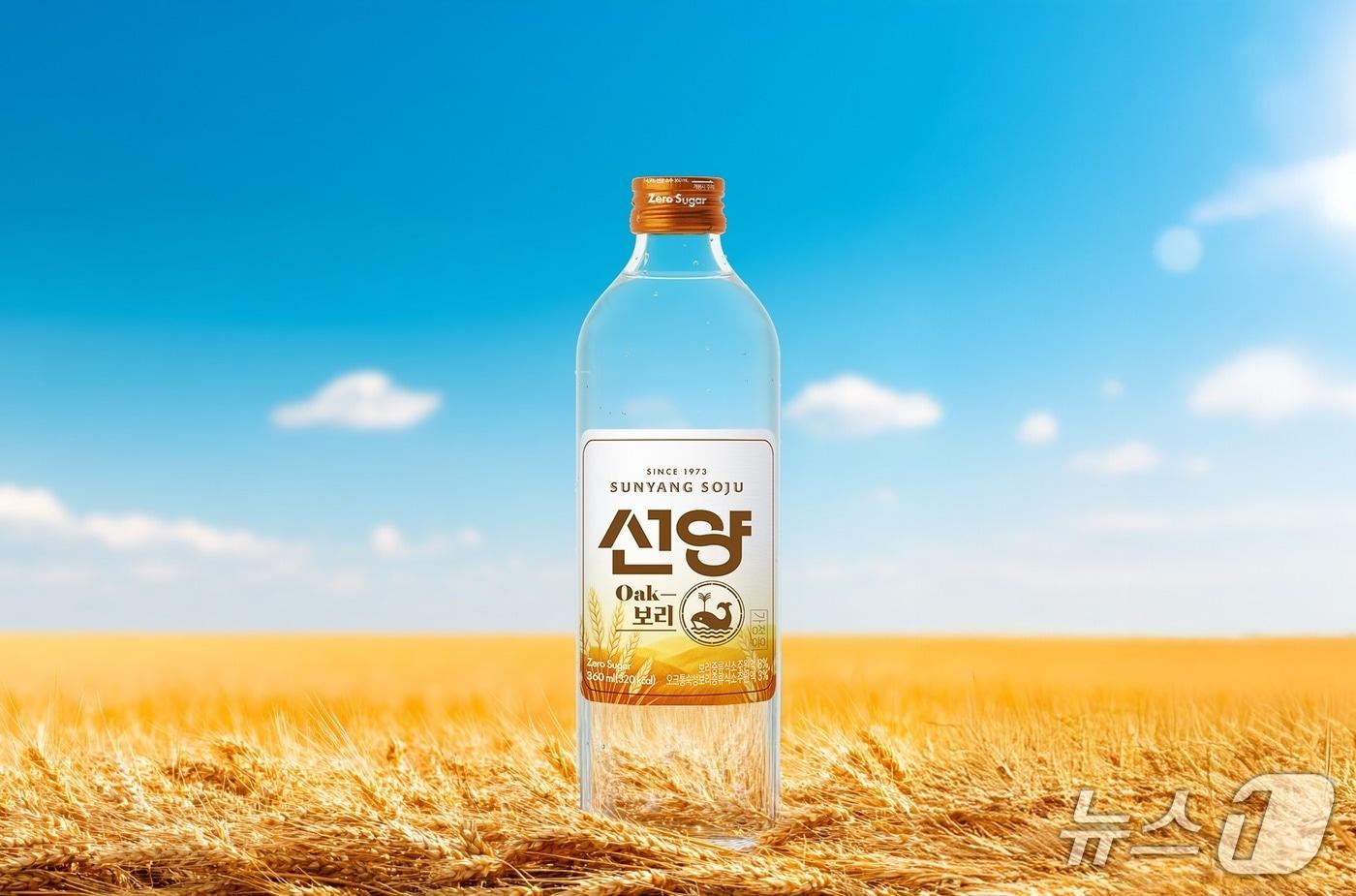 선양오크보리 홍보 이미지./뉴스1