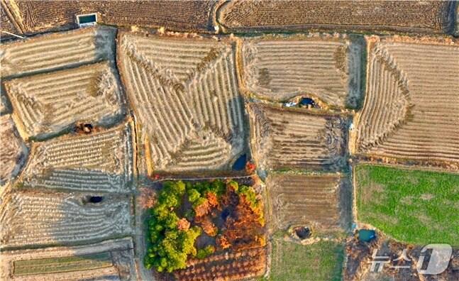 본문 이미지 - 둠벙 전경.(고성군 제공. 재판매 및 DB금지)