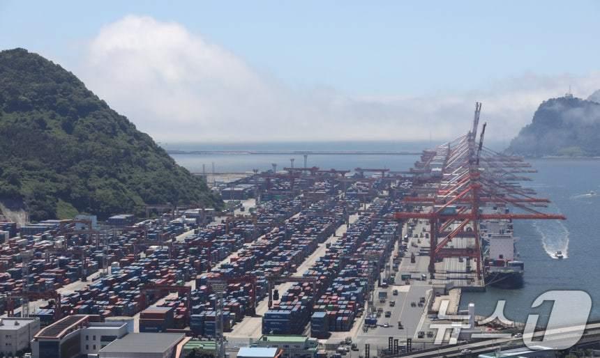 본문 이미지 - 부산항 신선대 부두 야적장. 2025.6.30/뉴스1 ⓒ News1 윤일지 기자