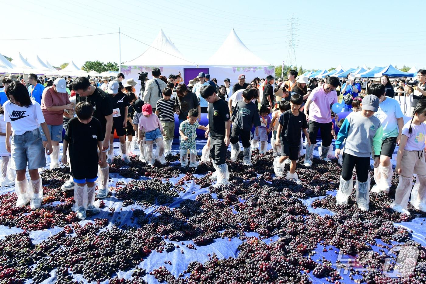 지난해 '대부포도축제' 현장.(안산시 제공)