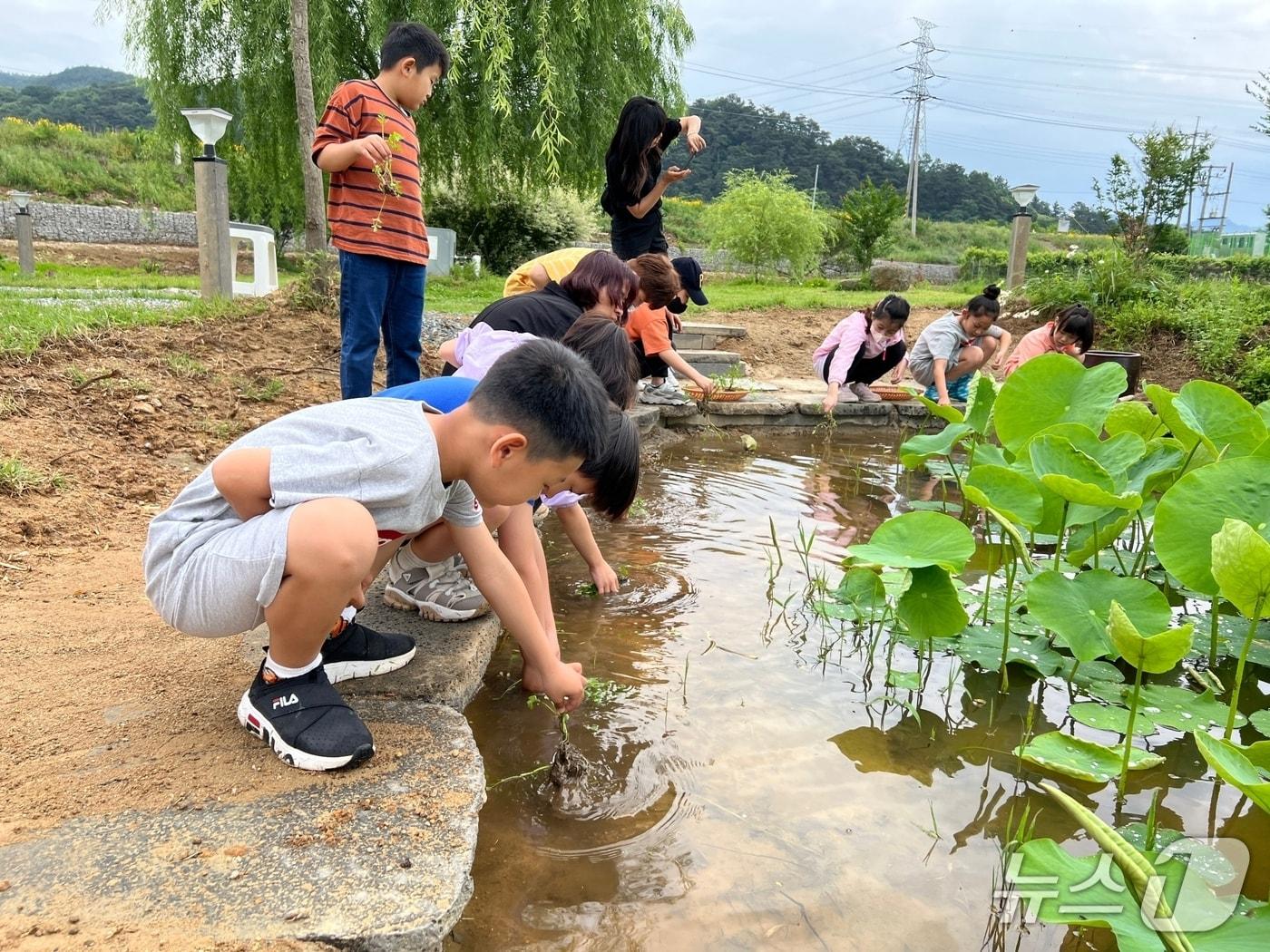 본문 이미지 - 전북 순창군 적성초등학교에서 농촌 유학을 하는 학생들.&#40;전북교육청 제공. 재판매 및 DB금지&#41;