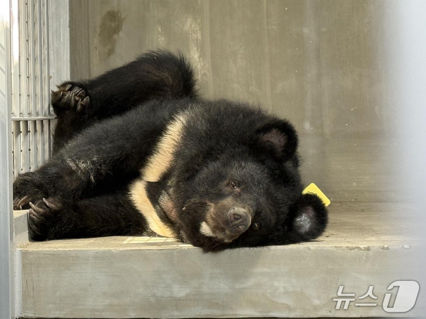 본문 이미지 - &#40;환경부 제공&#41; ⓒ 뉴스1