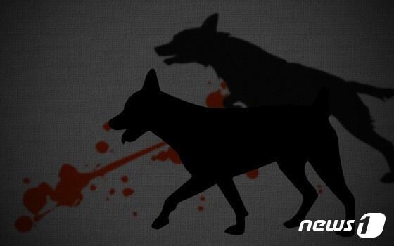 본문 이미지 -  야생동물 160여마리를 잔혹하게 학대한 혐의로 재판에 넘겨진 주범이 항소심에서도 실형이 유지됐다./뉴스1