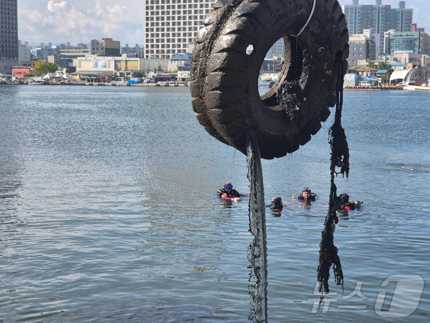 본문 이미지 - 30일 오후 강원 속초시 청초호 일대에서 동해지방해양경찰청, 동아오츠카, 속초시 등이 함께한 민관 합동 수중·연안 정화활동이 펼쳐지고 있다. 이날 정화활동은 대한민국 새단장 주간을 맞아 민간단체와 자원봉사자 총 16개 단체 170명이 함께했다. 2025.9.30/뉴스1 ⓒ News1 윤왕근 기자