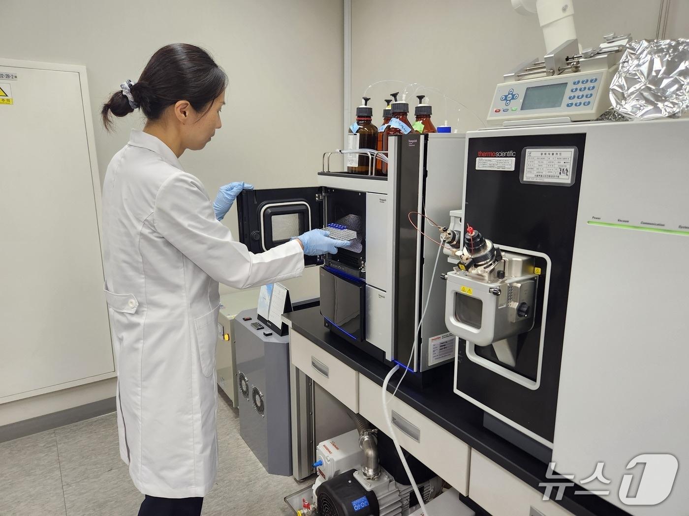 본문 이미지 -  (서울시 제공) 