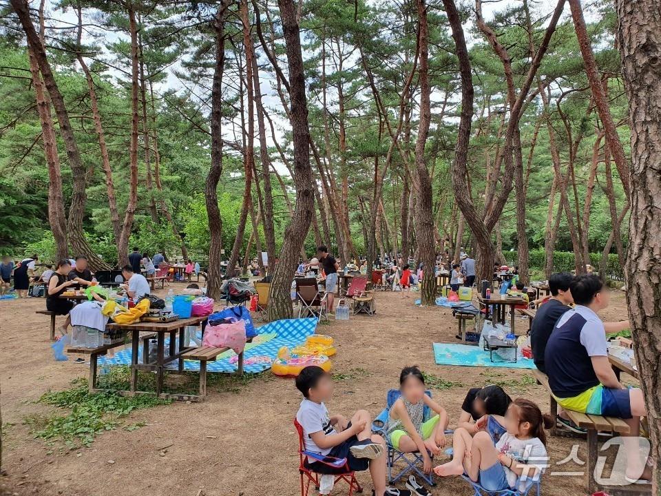 본문 이미지 - (기후에너지환경부 제공) ⓒ 뉴스1