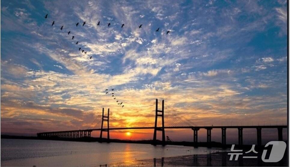 본문 이미지 - 행담도휴게소에서 바라본 서해대교(도로공사 대전충남본부 제공) /뉴스1