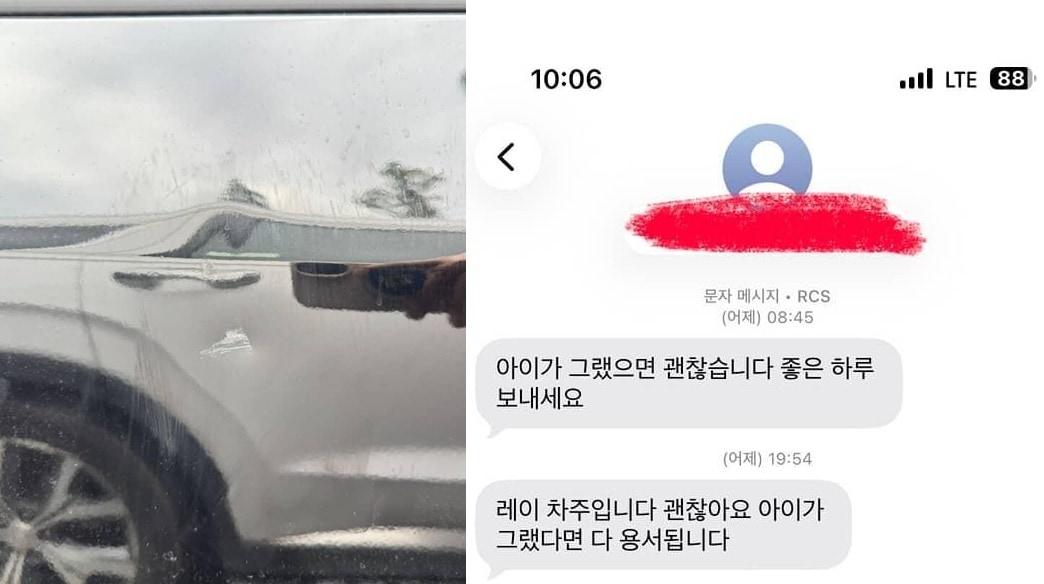 본문 이미지 - (보배드림 갈무리)