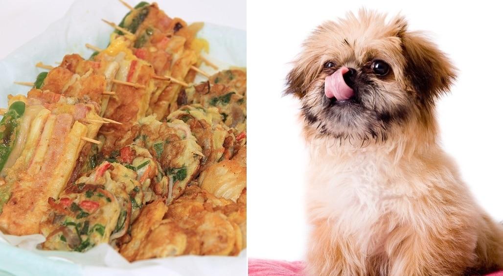 본문 이미지 - 추석 명절에는 꼬치전 등 음식 준비 과정에서 흔히 쓰이는 이쑤시개가 강아지에게는 큰 위험이 될 수 있다&#40;사진 이미지투데이&#41;. ⓒ 뉴스1