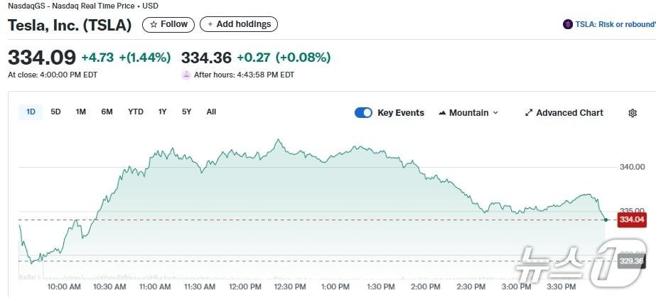 본문 이미지 - 테슬라 일일 주가추이 - 야후 파이낸스 갈무리